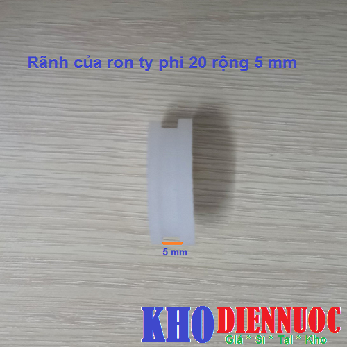 ranh-ron-ty- trong-silicon-phi-21